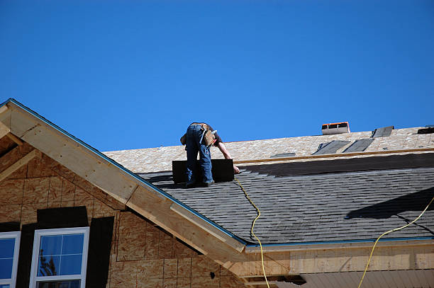 Best Roof Ventilation Installation  in USA